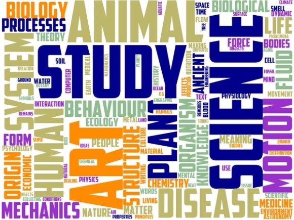 Neossology Wordart Wallpaper