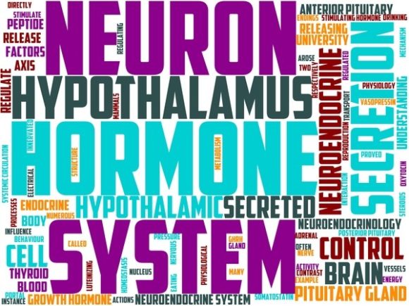 Neuroendocrinology Wordart Tumbler: A Creative Tool for Design Enthusiasts