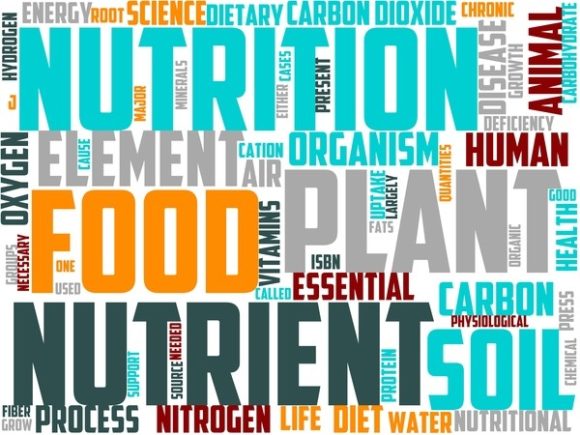 Nutrition Wordart Sublimation