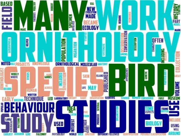 Ornithology Wordart Print