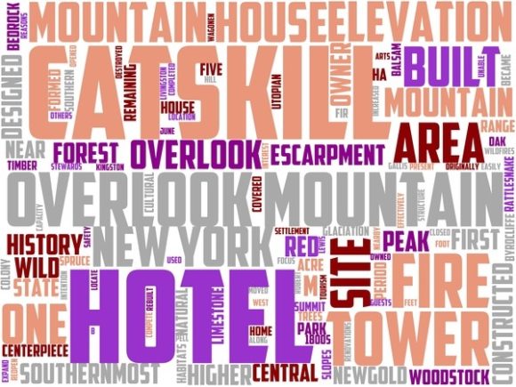 Overlook Mountain Wordart Skinny Tumbler
