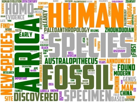 Palaeoanthropology Wordart Sublimation: A Creative Tool for Design and Expression
