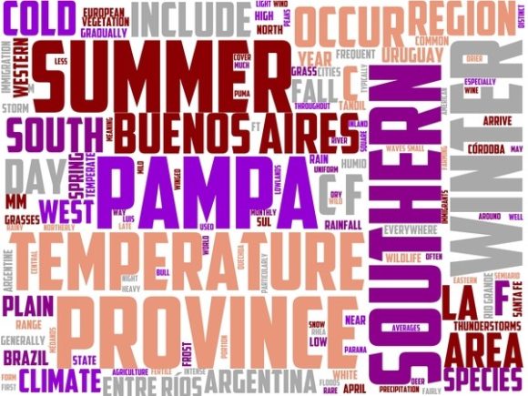 Pampa Wordart Banner