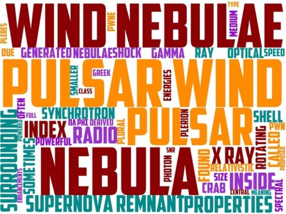 Plerion Wordart Tumbler