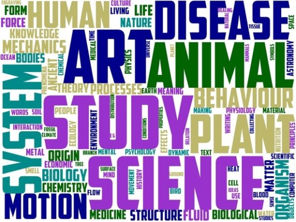 The Osphresiology Wordart Tshirt: A Versatile Design Tool for Creative Expression