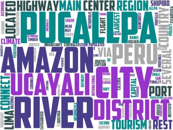 The Pucallpa Wordart Tumbler: A Versatile Tool for Creative Expression