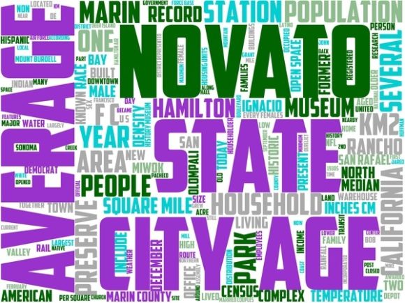 Transform Your Projects with Novato Wordart Wallpaper.jpg